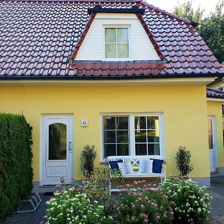 Am Deich 43 Vila Zingst Exterior foto